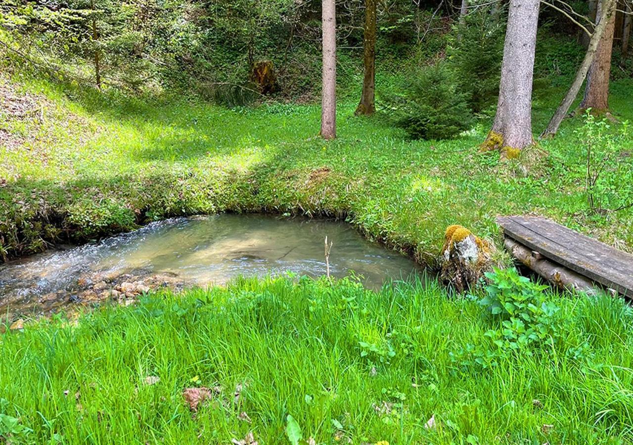 Apartments Fiore Am Naturschwimmbad! Puch  Kültér fotó